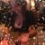 Tina Cecelia's profile image