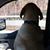 Tucker Murphy's profile image