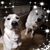 AnthonyandLuanne Jornd Kaspar's profile image