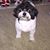 Brian H Wahe's profile image