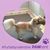 L Ellen Garrett's profile image