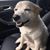 Paul Brackley's profile image