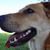 Jose Toriz's profile image