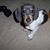 Gary Sammelmann's profile image