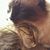 Samira Christle's profile image
