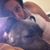 Jamie Dean-Passaretti's profile image