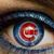 Amy Brandon Orcutt's profile image