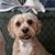 Tia Trissel's profile image