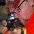 Dustin Stevenson's profile image