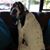 Bonnie Anderson's profile image