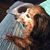 Beth Sevieri's profile image