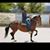Ricardo Andres Moreno Camargo's profile image