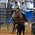 Karen Herbst's profile image