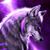 Coleen Hein's profile image
