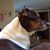 Wanda Sizemore's profile image