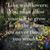 Anne MacLeod's profile image