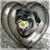 Tami Burnell's profile image