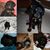 Laura Stebe's profile image