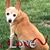 Jacky Gearhart's profile image