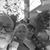 Kathy Stryski's profile image