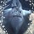 Philip McCabe's profile image