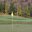 Vermont Golfer's profile image
