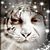 Joe Adams Sr's profile image