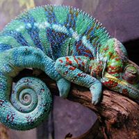 Ann Kelble's profile image