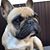 Tricia Rivera's profile image