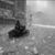 Luvvy LaRue's profile image