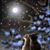 Shelly Clark's profile image