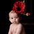 Caroline LaVallee Holiman's profile image