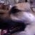 Todd Jordan's profile image