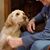 Dennis Peaslee's profile image