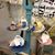 Sandy Colee Reynolds's profile image