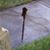 Cathie Ellen O'Connor's profile image
