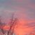 Sharon Sartell's profile image
