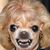 Sheller Perry's profile image