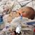 Carolyn H Leach's profile image