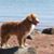 Corinne Beckner's profile image