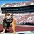 Brenda Harvell Pollard's profile image