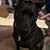 Amy Barica Stoffels's profile image