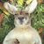 Terry Johnson's profile image