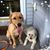 Kelly Blommer Weeres's profile image