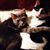 Debbie Kiser's profile image