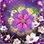 Luanna Carter's profile image