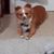 Traci Hay's profile image