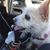 Michelle Dorman Jacobsen's profile image