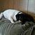 Yvonne Clinkscales's profile image