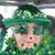 Jeanine Handley's profile image